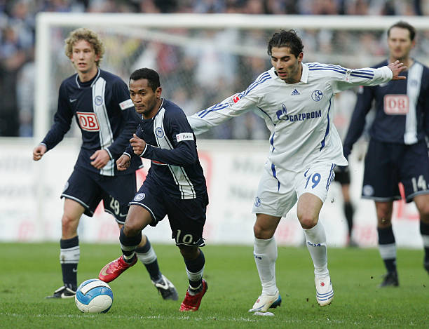 再次崭露头 再次崭露头